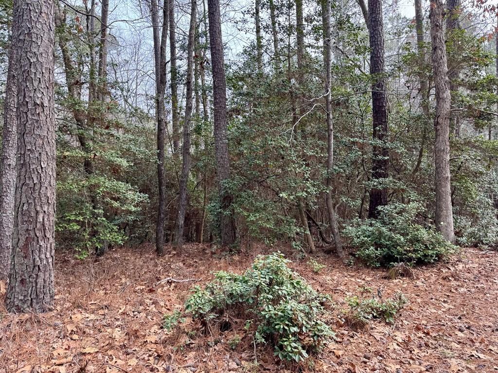 270&276 Ridge Road