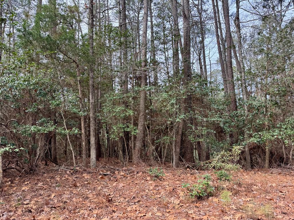 270&276 Ridge Road