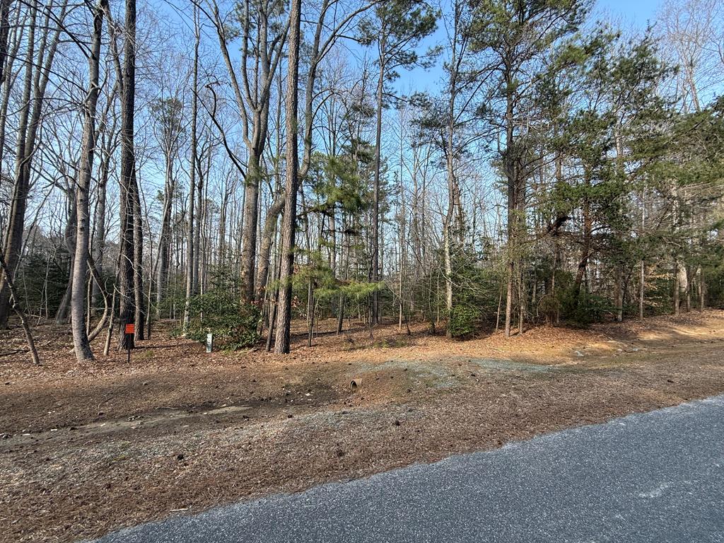 Lot 19 Eagles Trace
