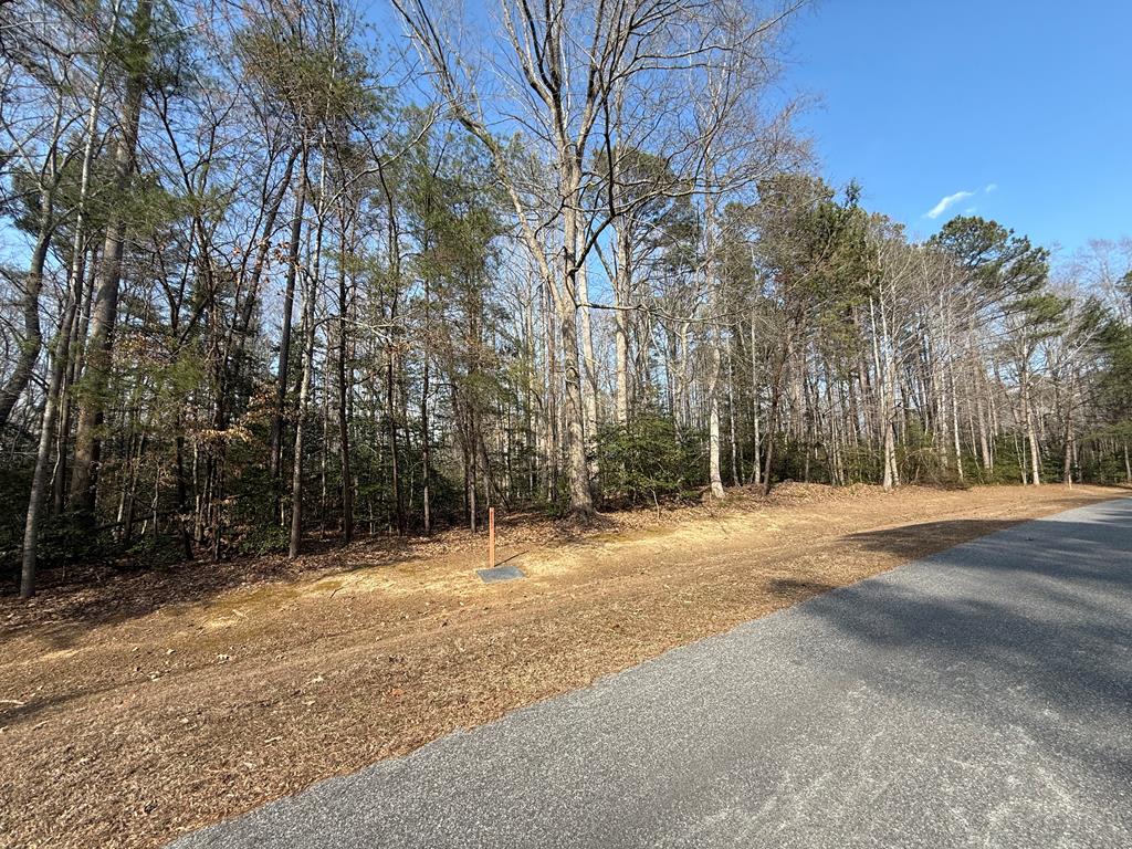 Lot 20 Eagles Trace