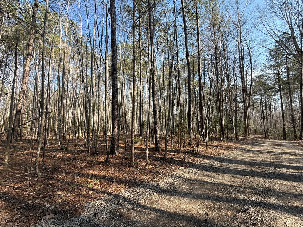 Lot 72 Eagles Terrace Dr