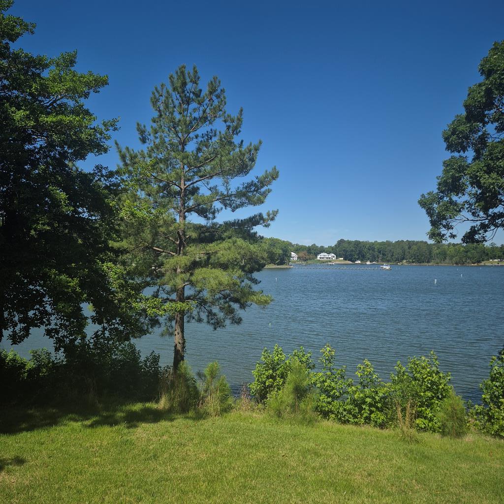 559 Lee Dale Drive