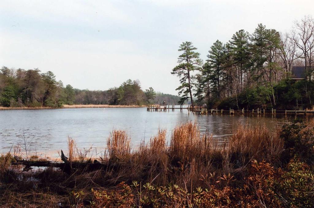Lot 99 Steamboat Lane