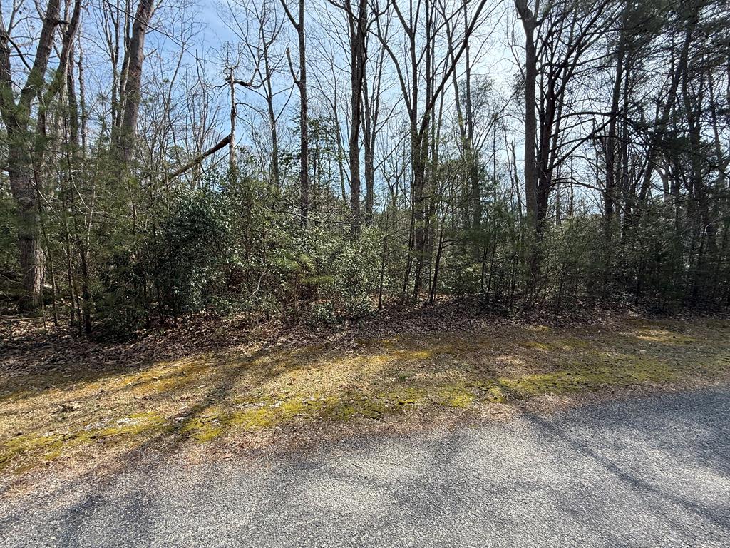 Lot 44A Laurel Point Road