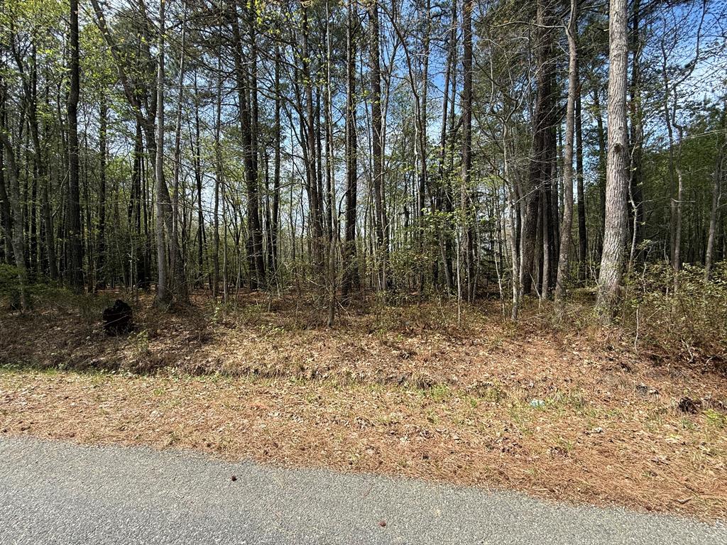Lot 245A Blundon Road