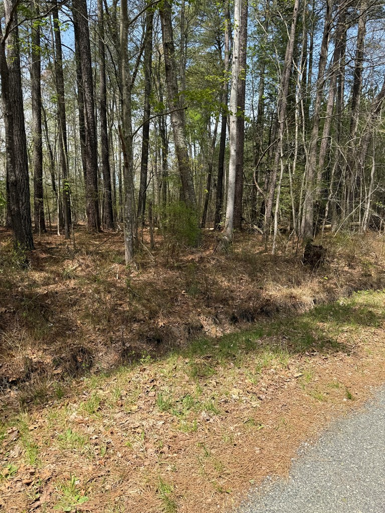 Lot 245A Blundon Road