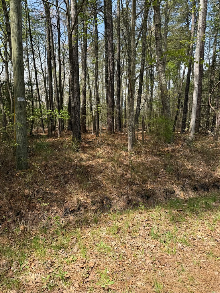 Lot 245A Blundon Road
