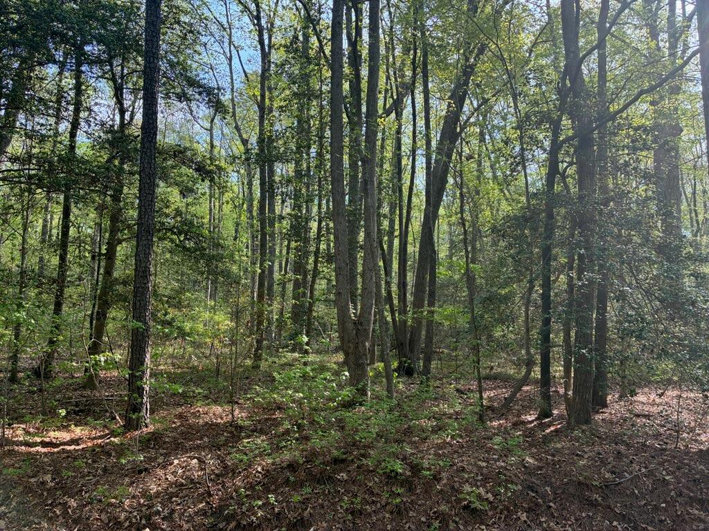 Lot 12 Cod Creek Drive