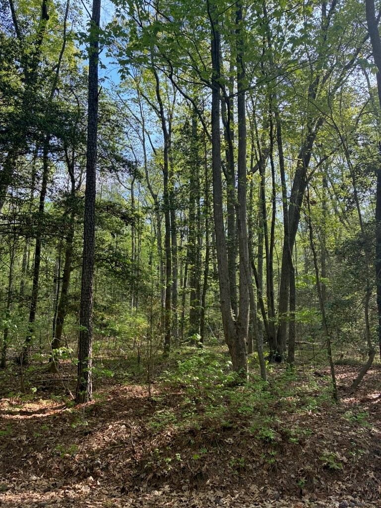 Lot 12 Cod Creek Drive