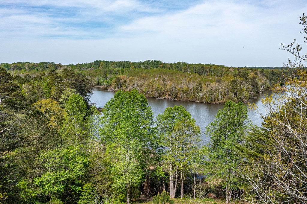 76 Pintail Court