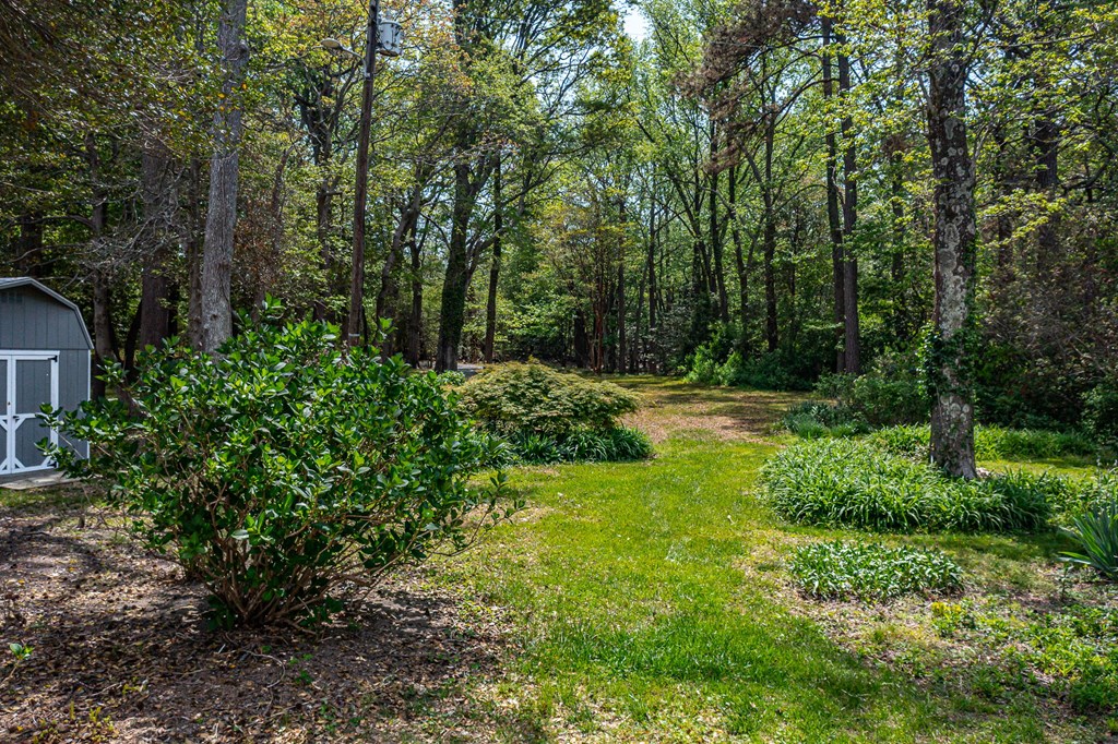 207 Cabell Lane