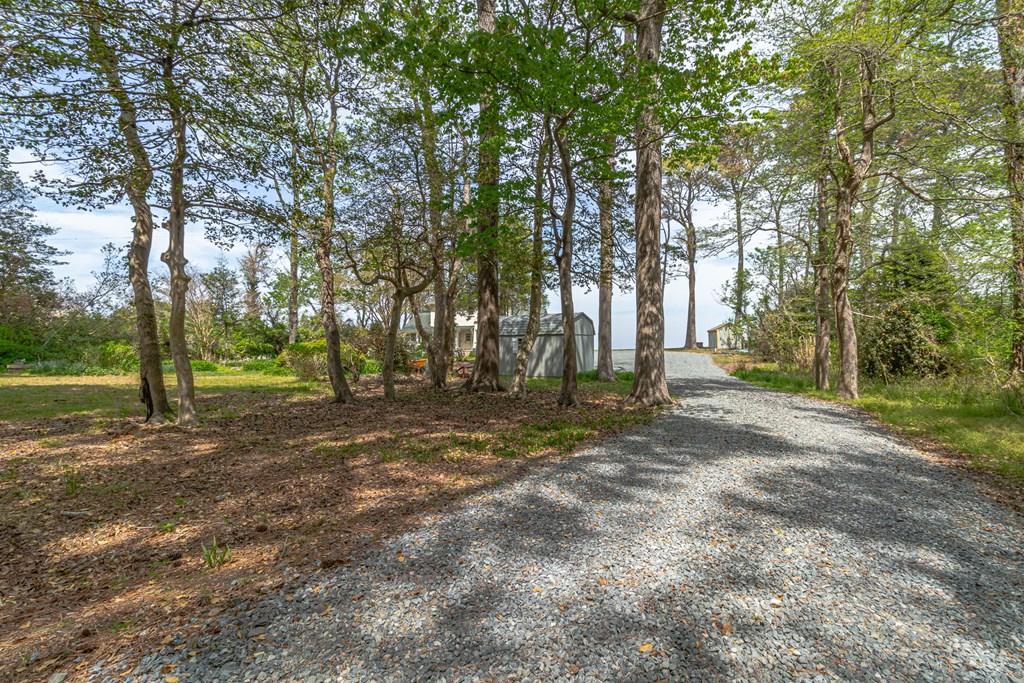 207 Cabell Lane