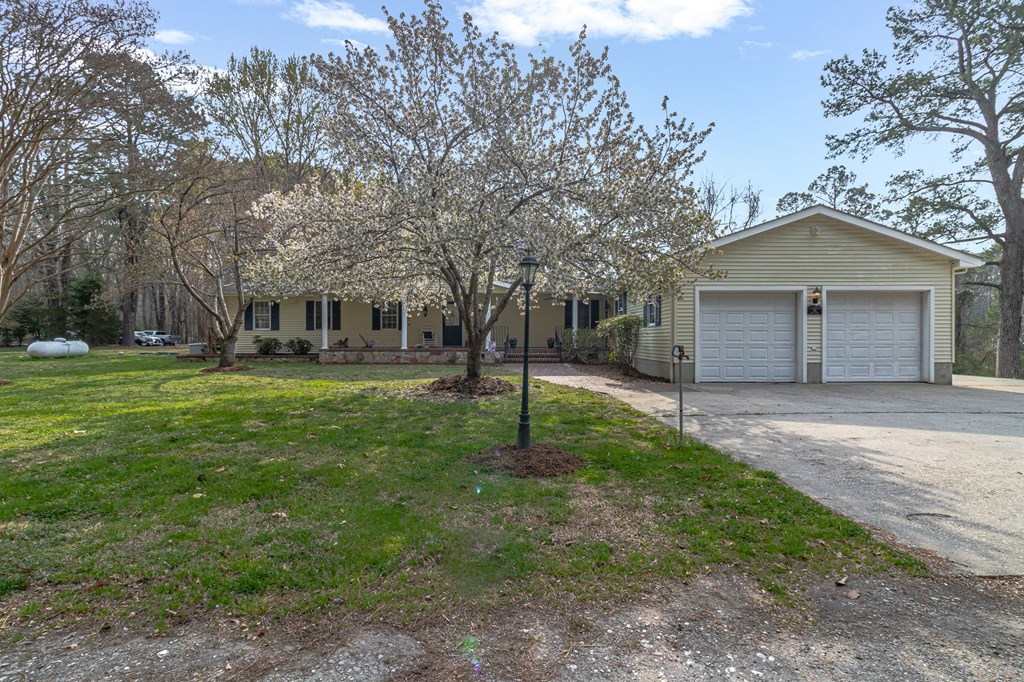 181 Rose Drive