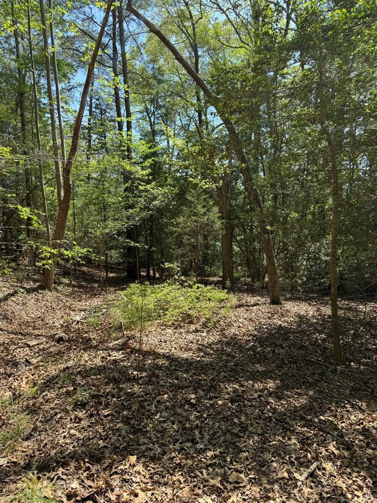 Lot 5 Laurel Point Road