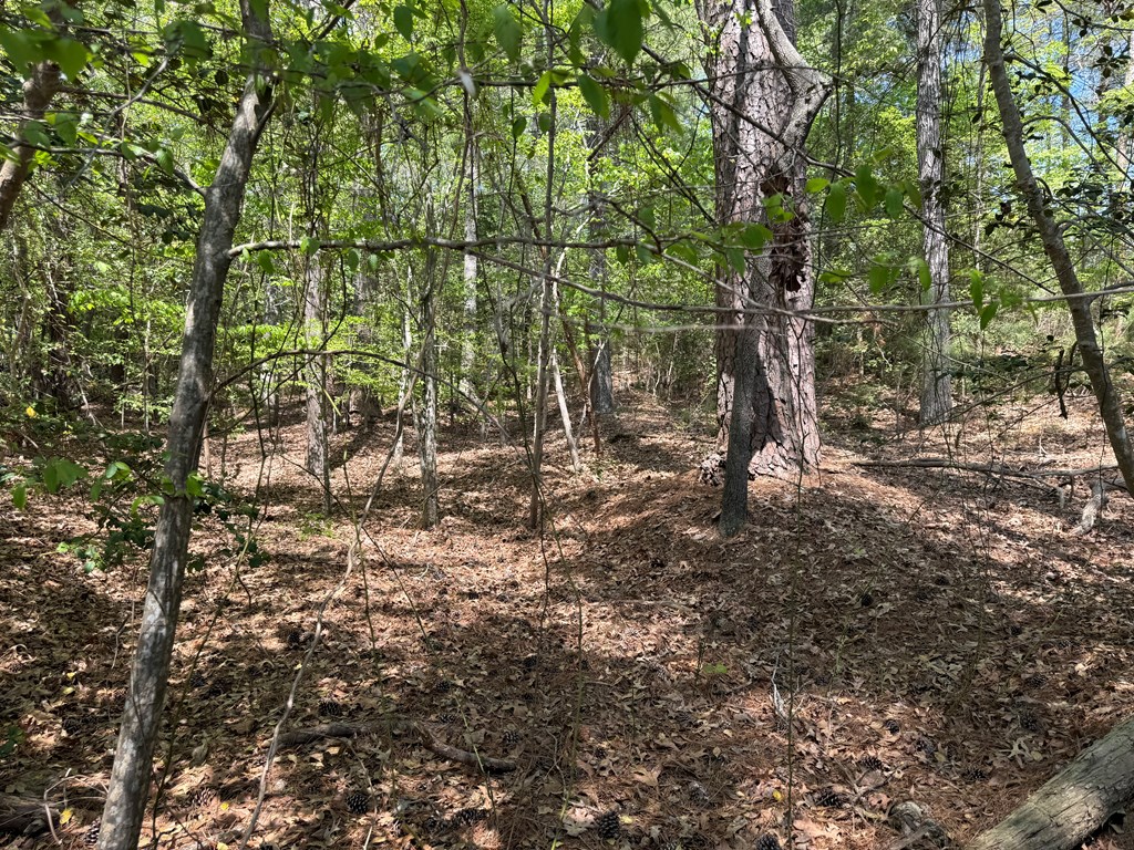 Lot 5 Laurel Point Road