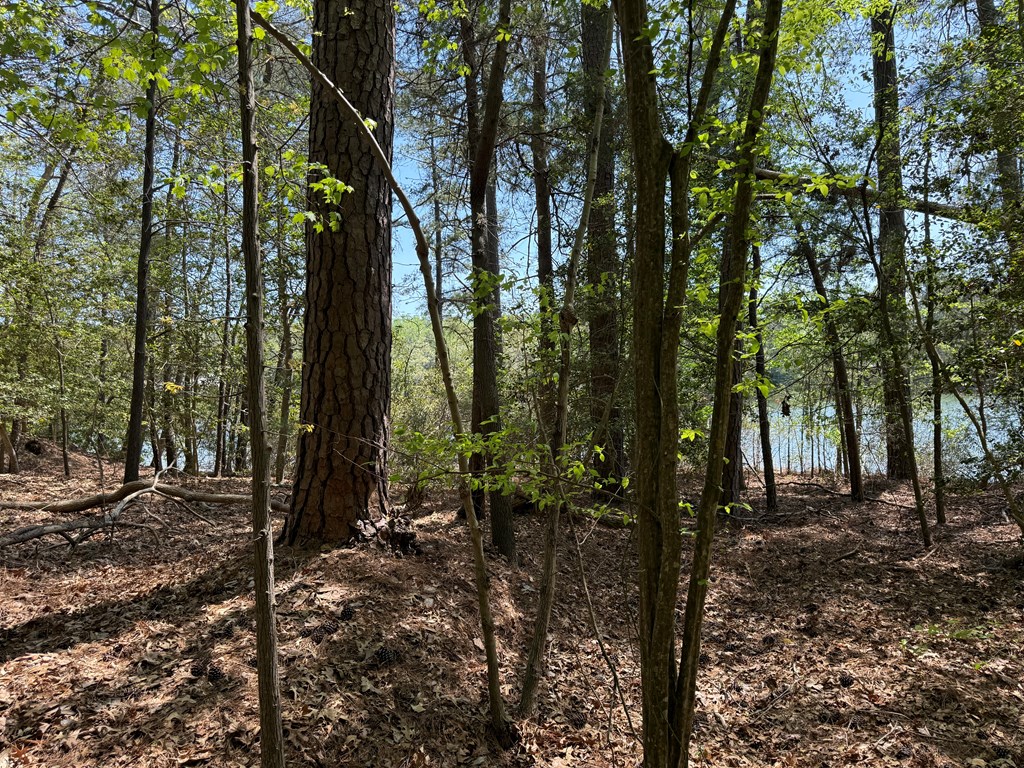 Lot 5 Laurel Point Road