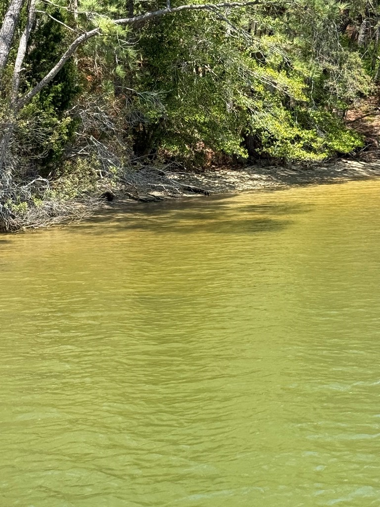 Lot 5 Laurel Point Road