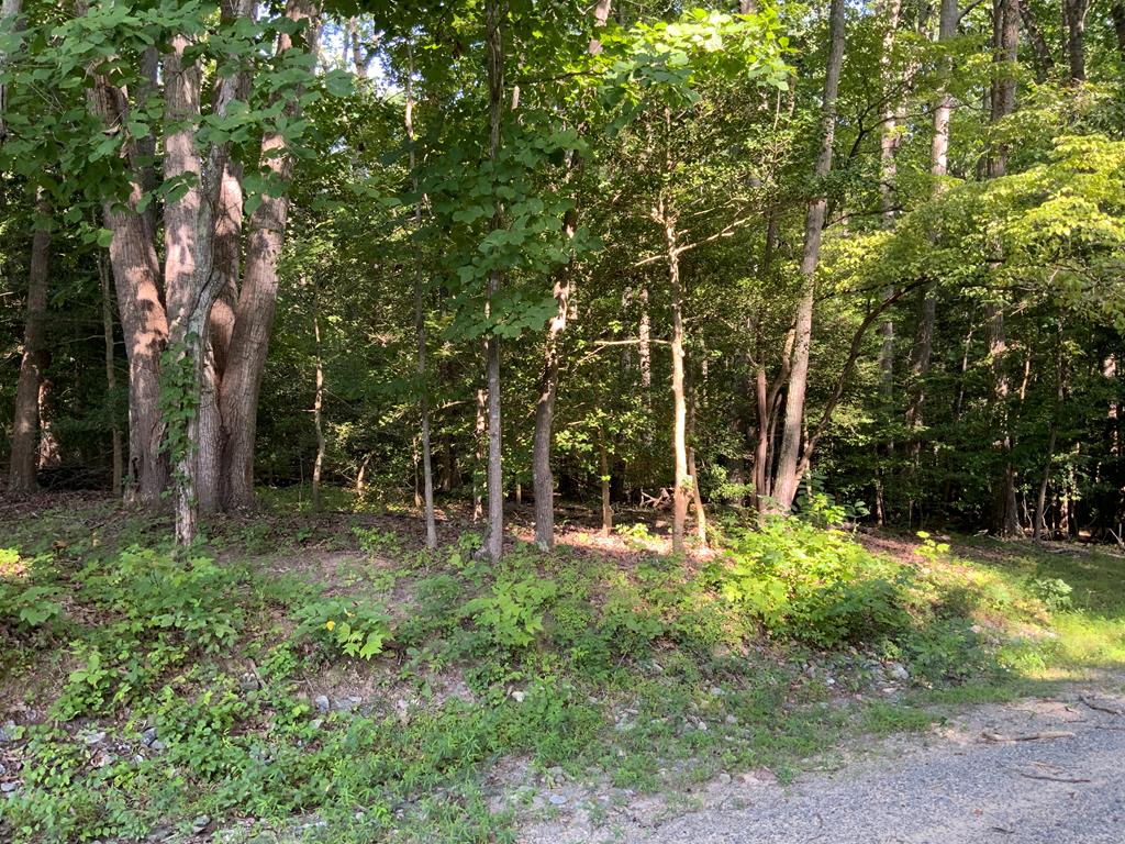 Lot 142 Ridgeview Lane