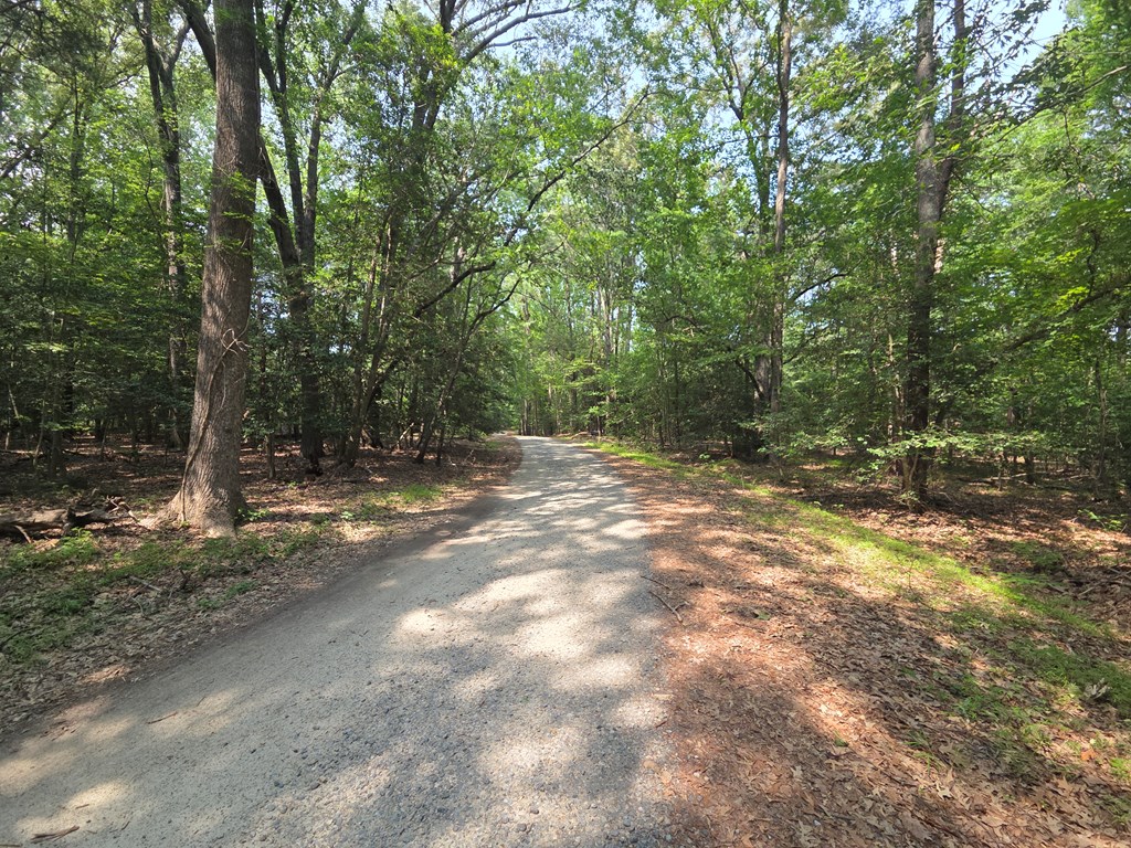 Lot 70N Holly Harbor Road
