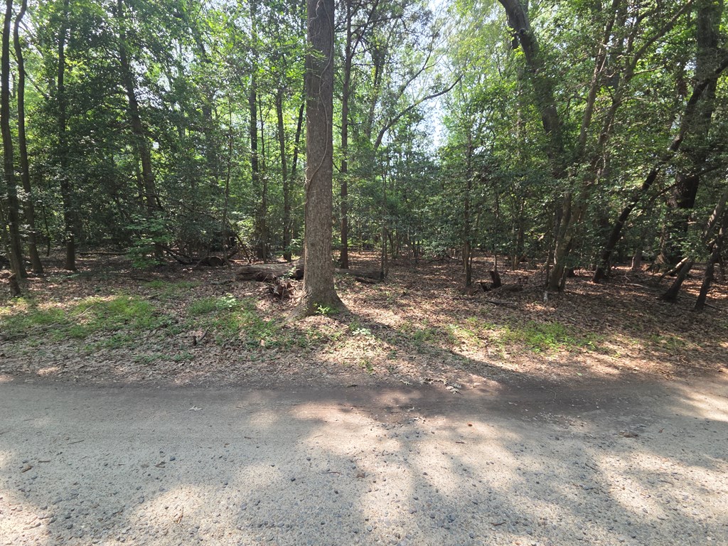 Lot 70N Holly Harbor Road