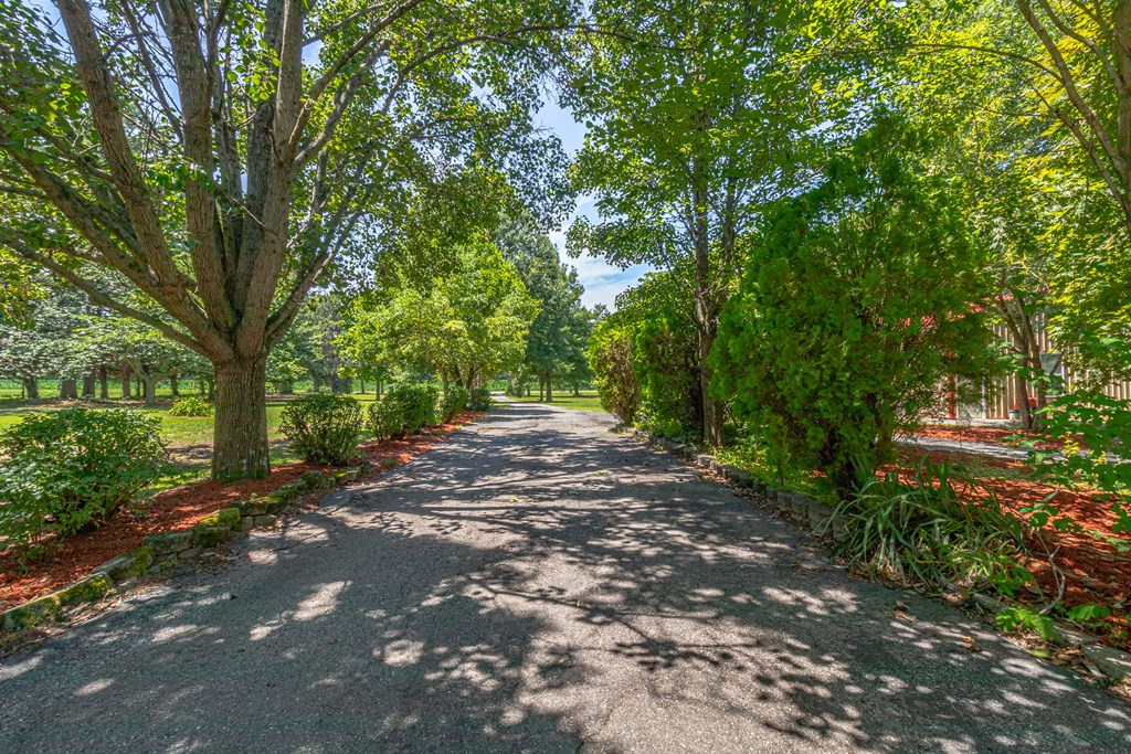 439 Burnt House Point Road