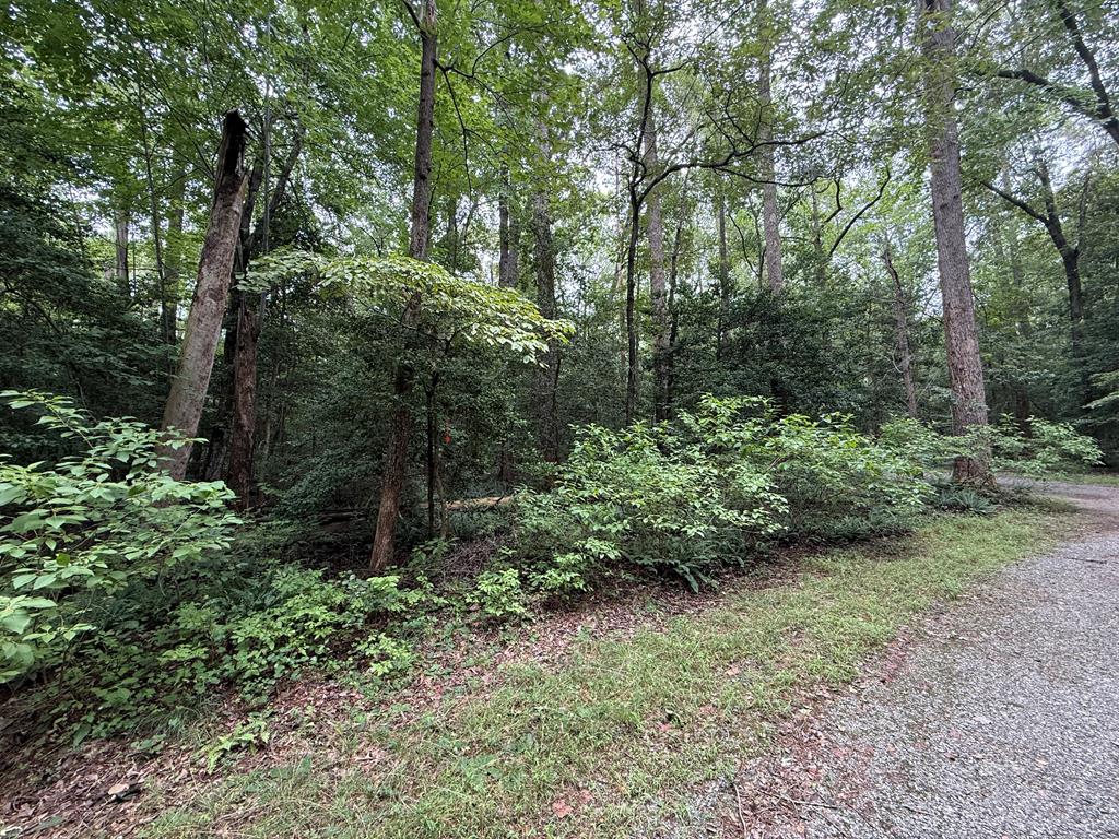 Lot 37 Dogwood Drive