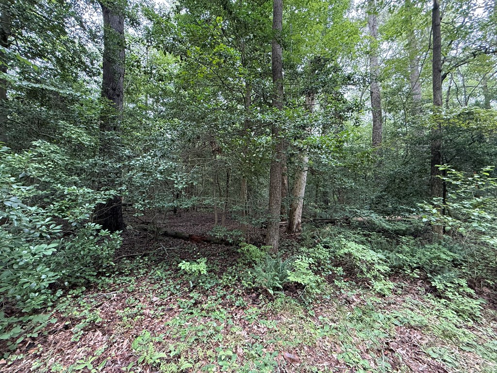 Lot 37 Dogwood Drive