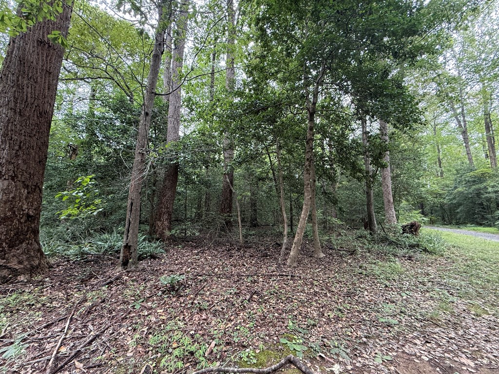 Lot 37 Dogwood Drive