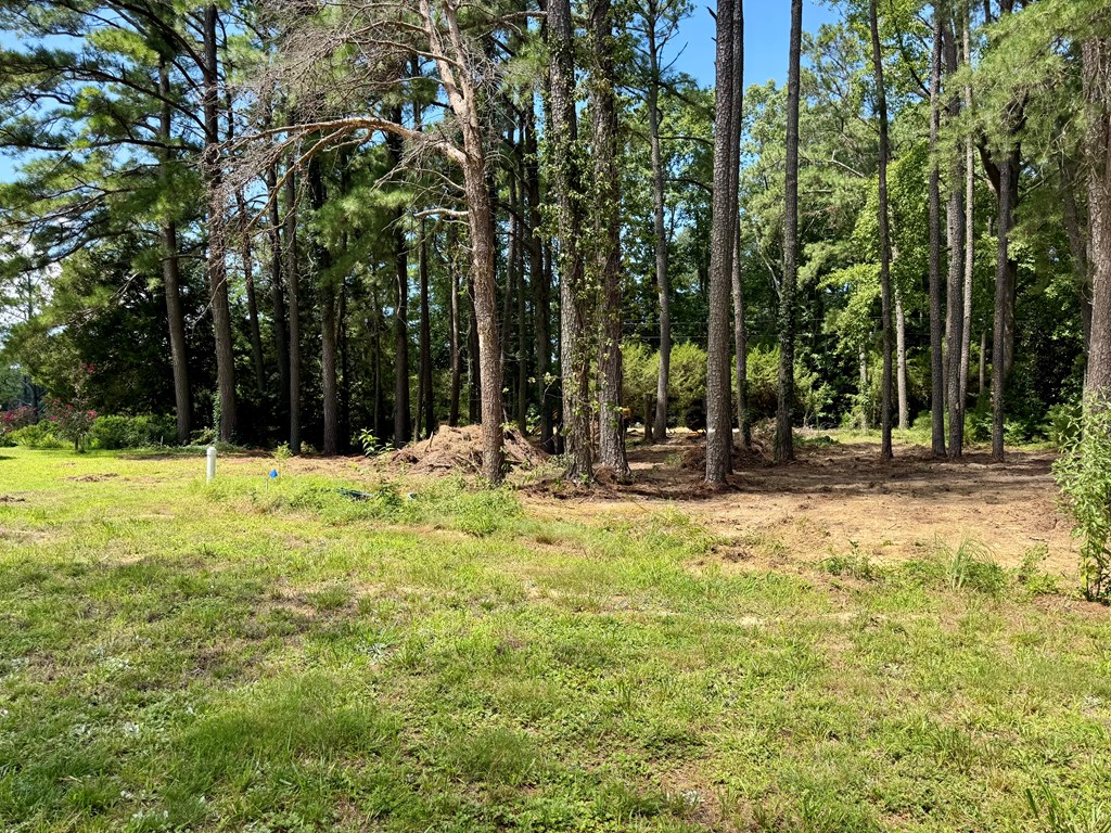 Lot 66E Blue Jay Drive
