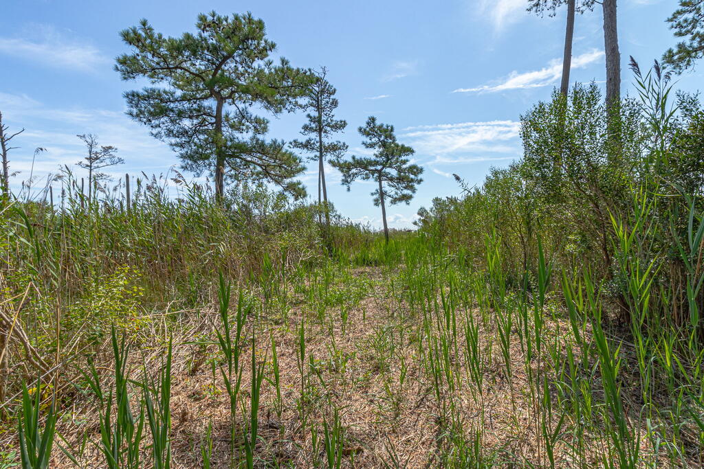 107 Galway Bay Lane