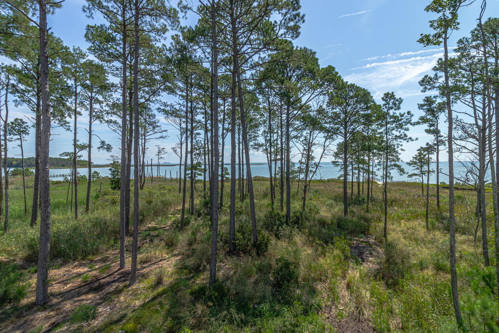 107 Galway Bay Lane