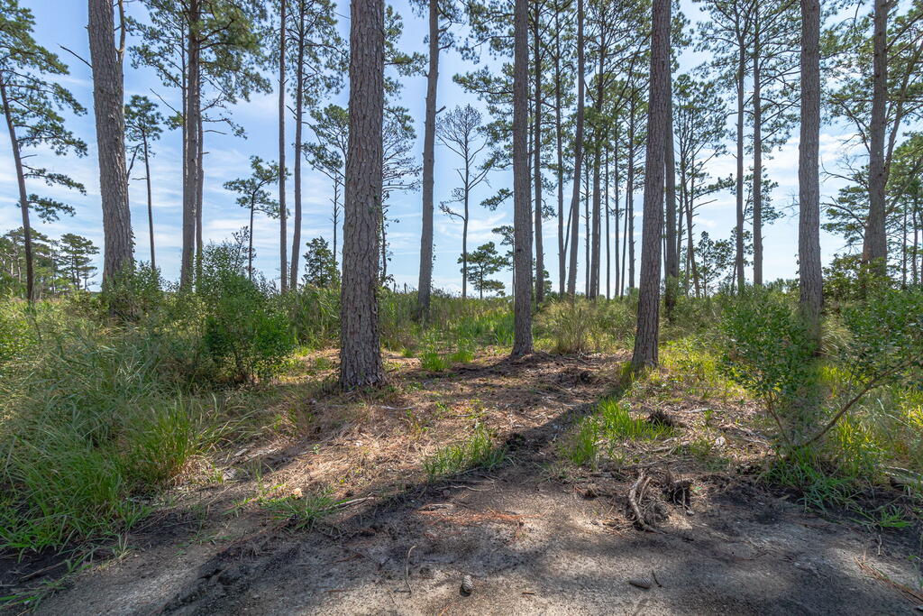 107 Galway Bay Lane