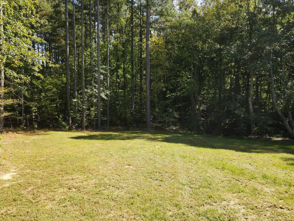 Grassy yard bordered by a dense stand of tall trees.