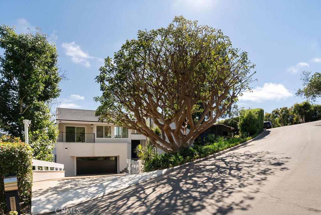 2315 Hillview