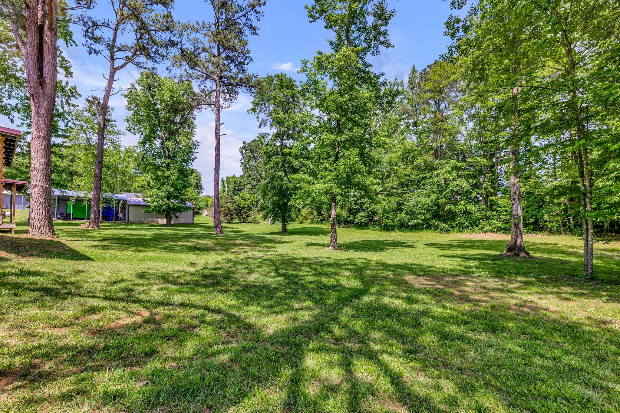 Spacious grassy backyard with mature trees and a small outbuilding.