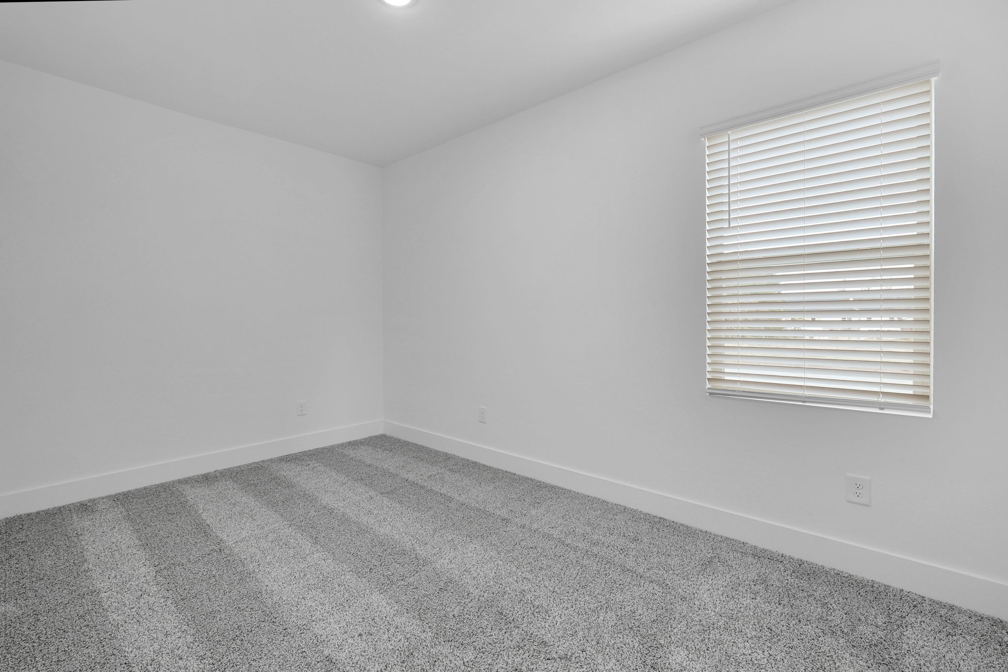 556 Twyla Dr