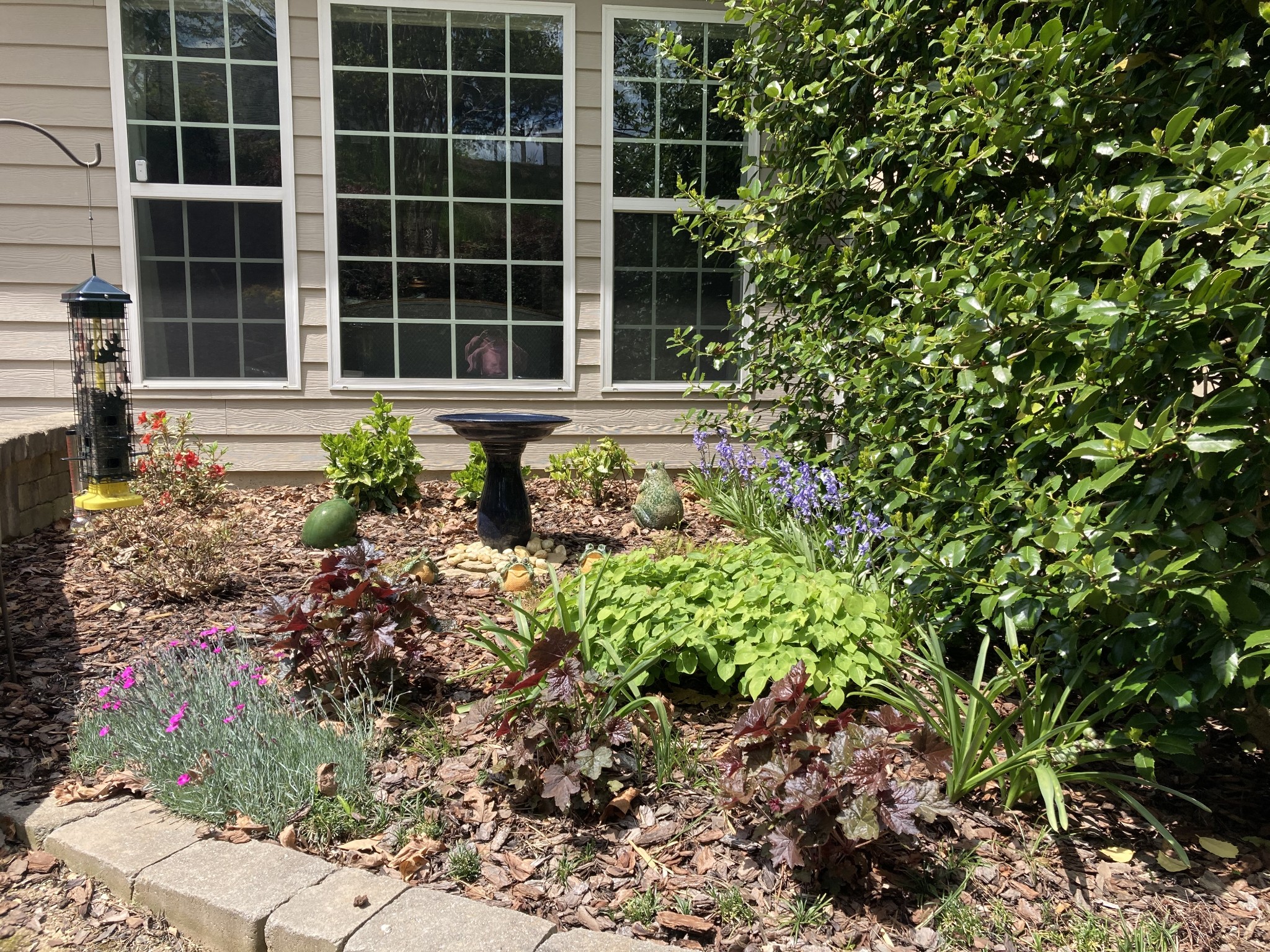 203 Citadel Dr