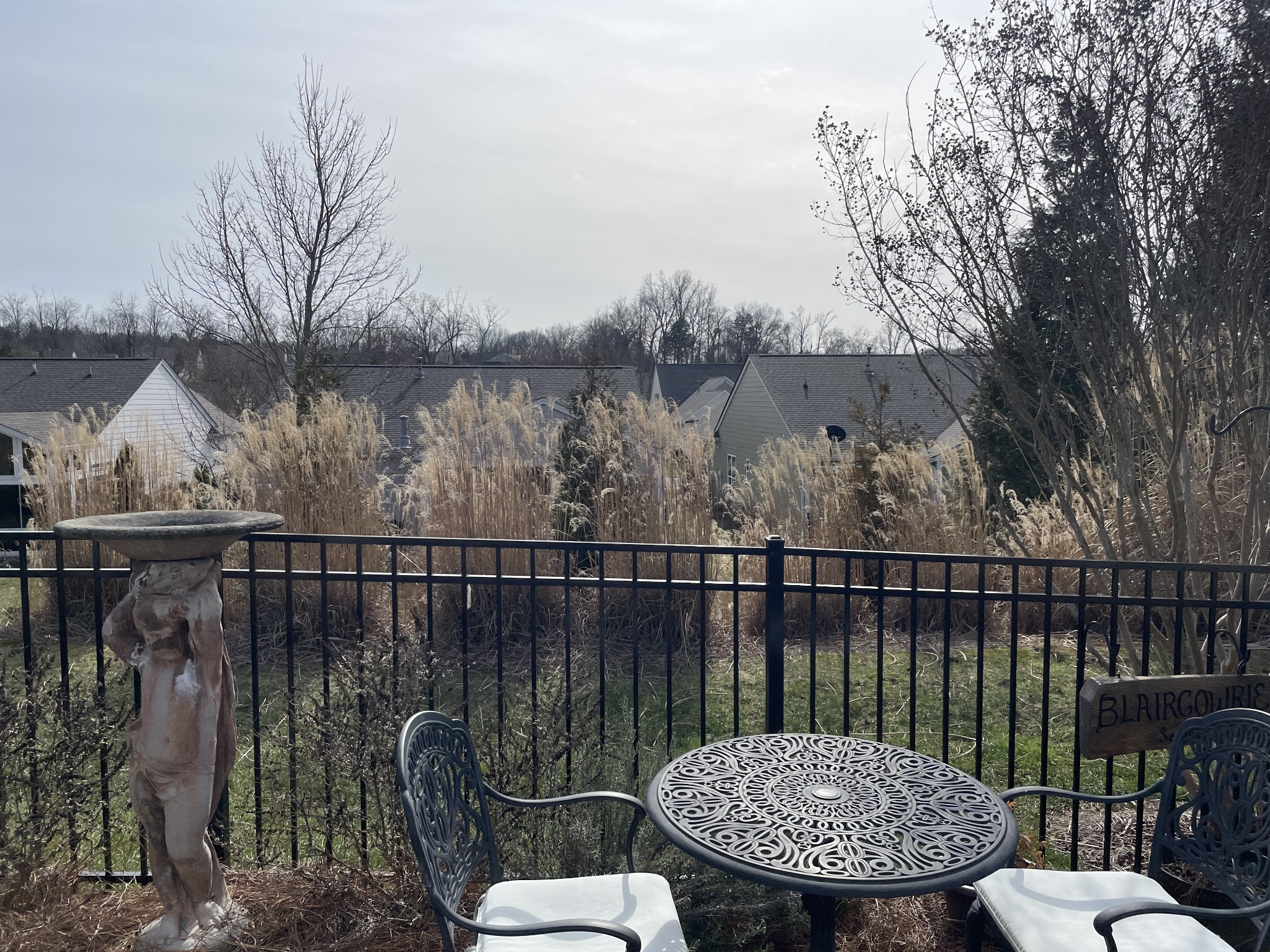 Backyard patio with ornate metal furniture and a stone birdbath overlooking tall grasses and nearby homes.