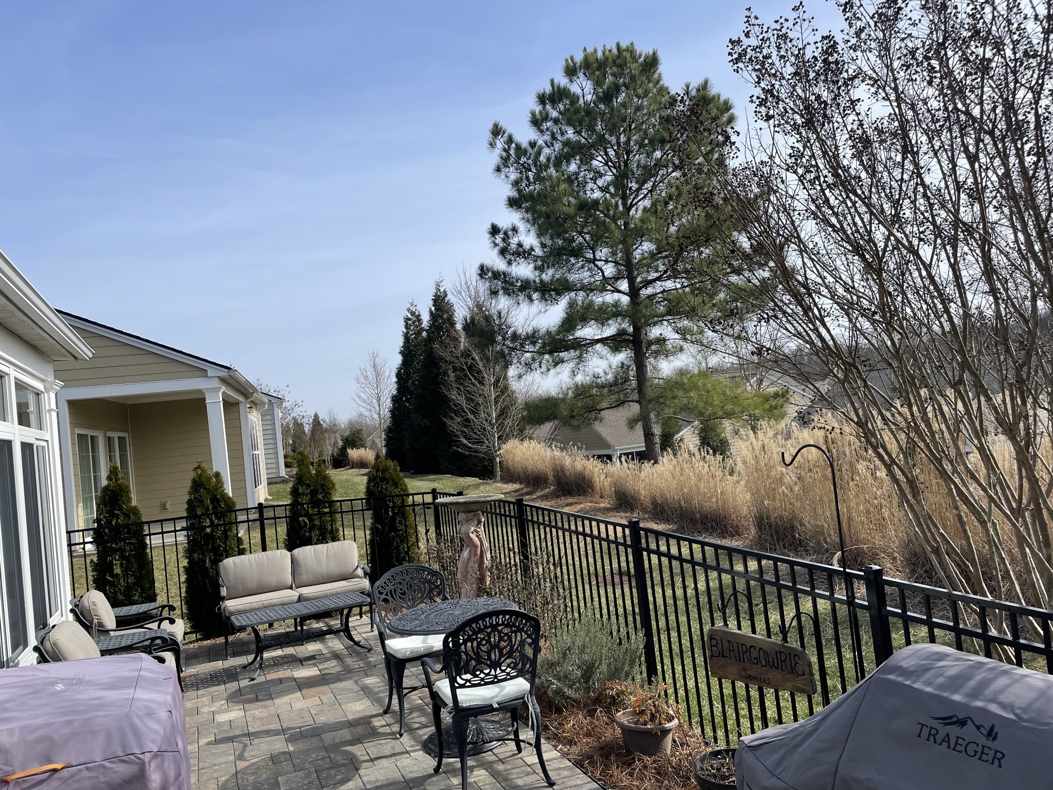Stone patio with black metal furniture overlooks a fenced backyard of ornamental grasses and mature trees.