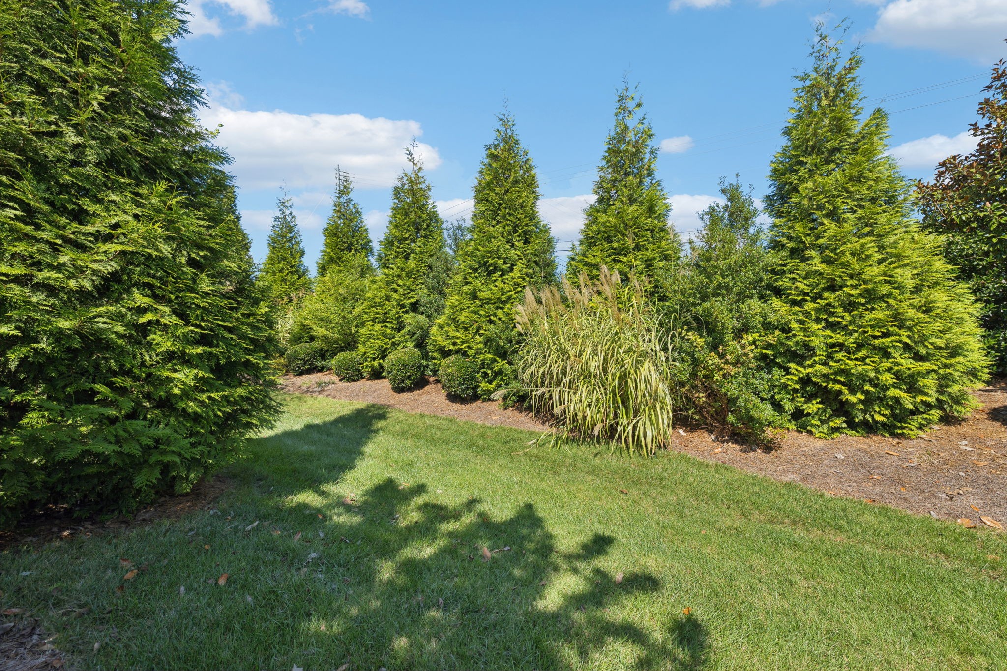 239 Antebellum Ln