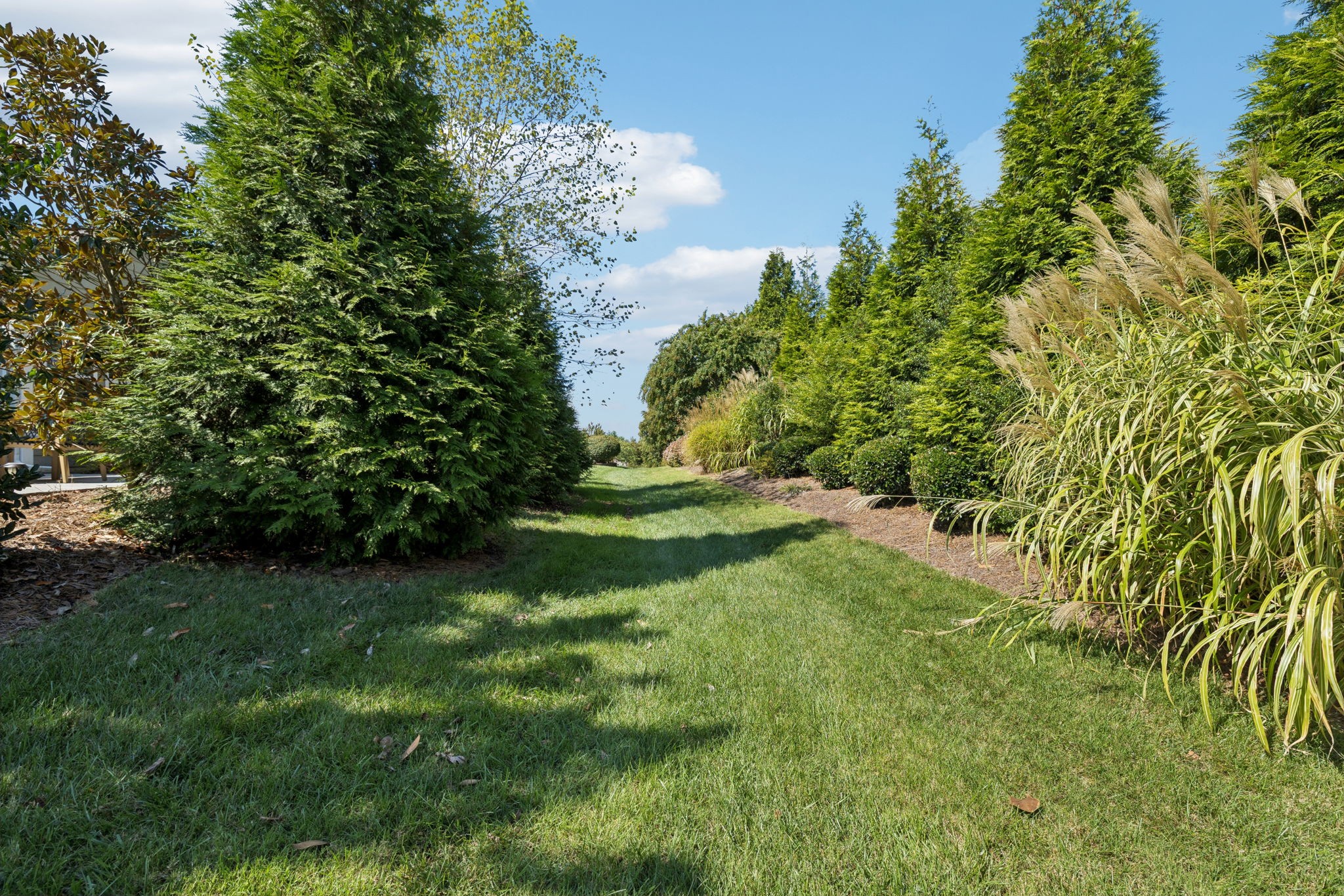 239 Antebellum Ln