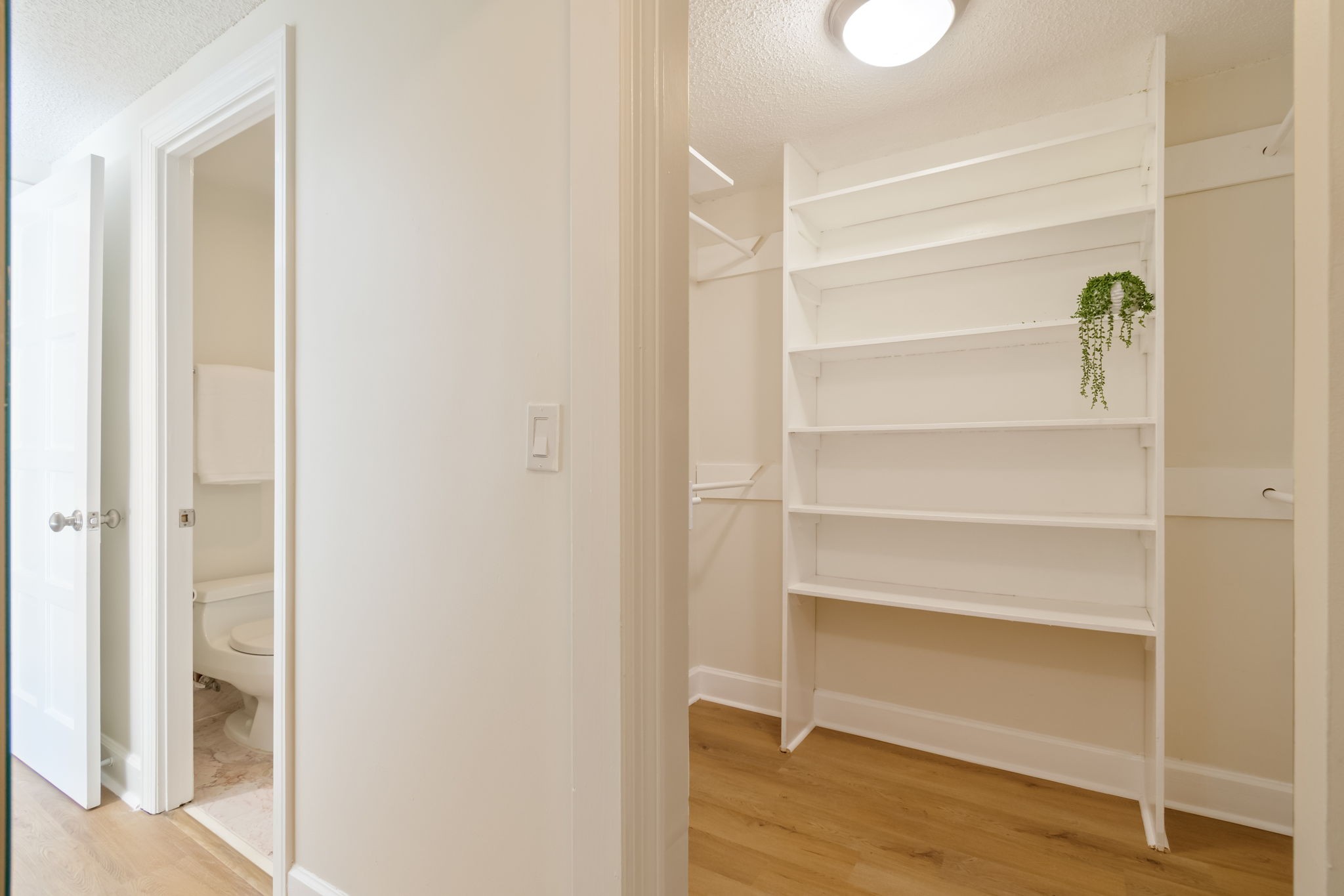 132 Harpeth Trace Smt