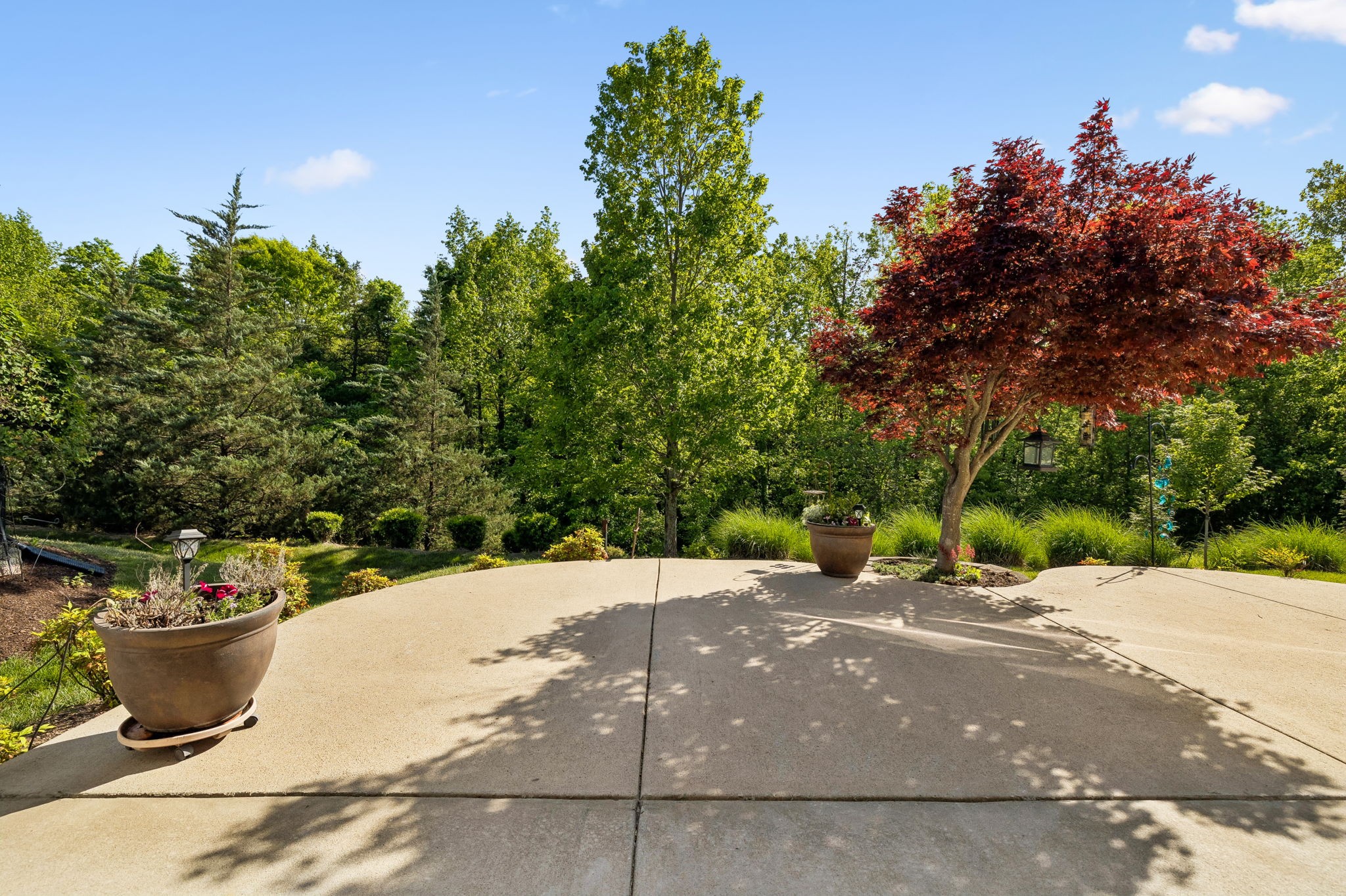 226 Salient Ln
