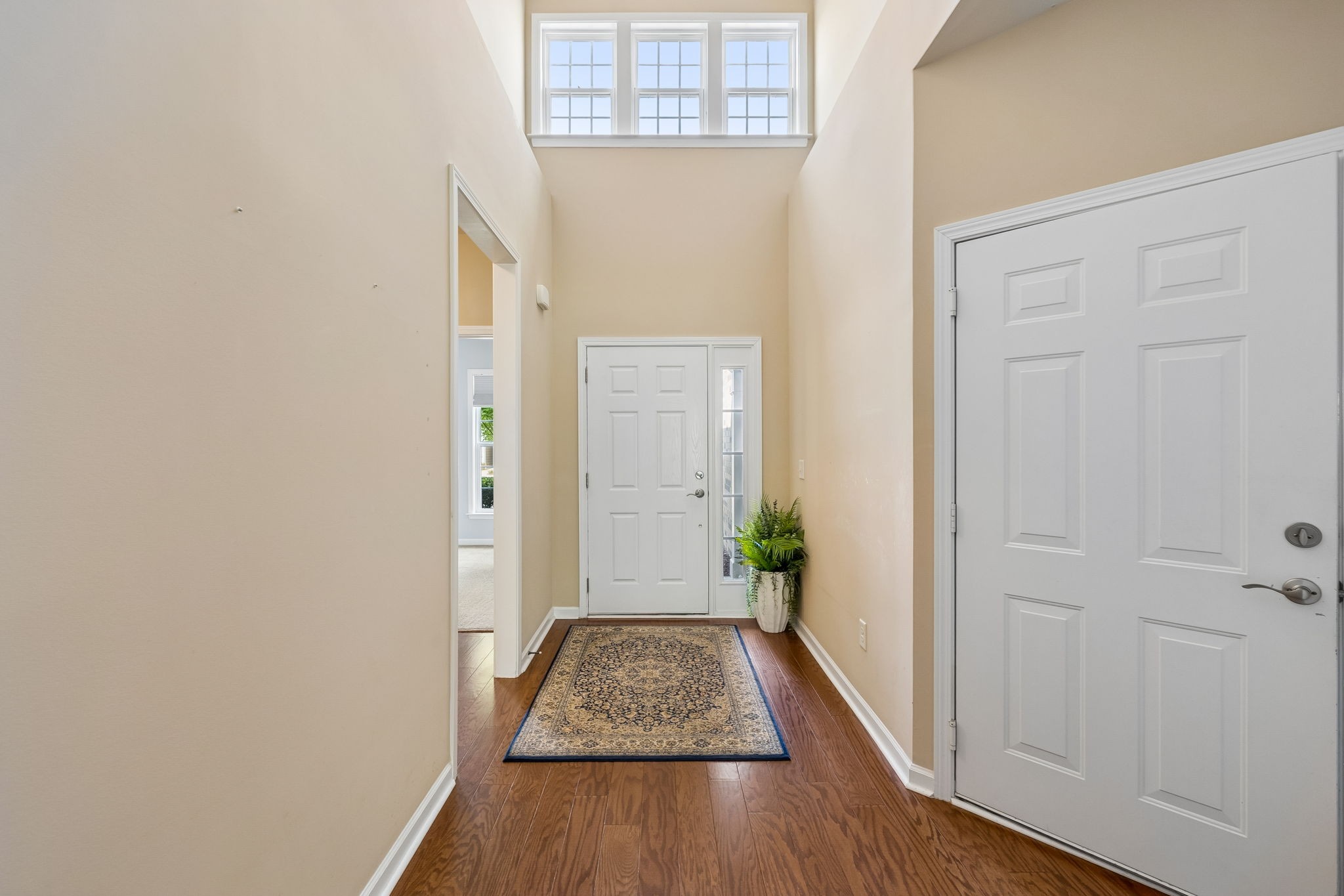 304 Palisade Dr