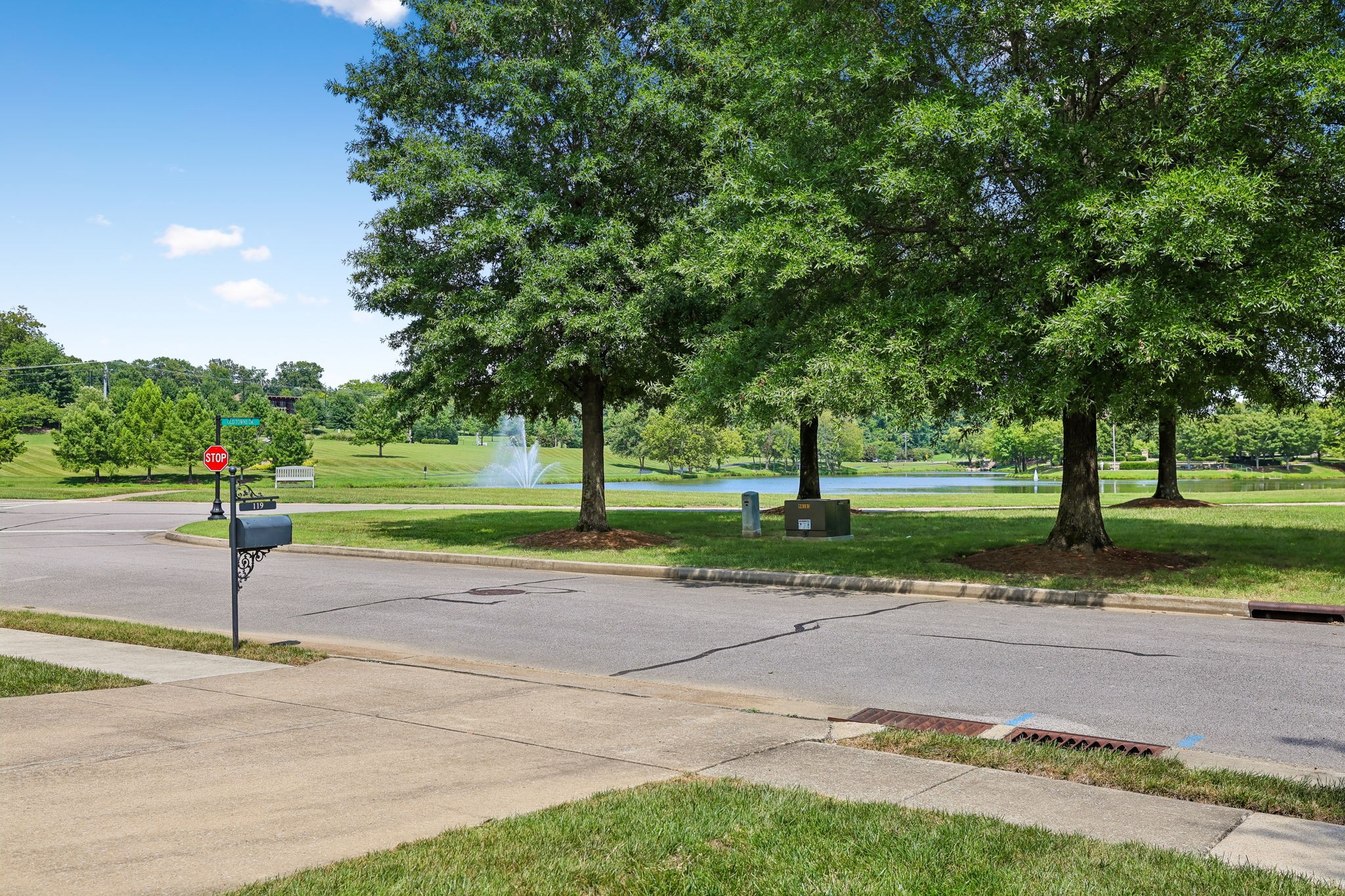 117 Old Towne Dr