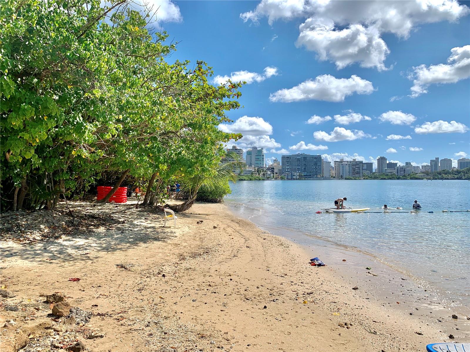 860 ASHFORD AVE. #8D