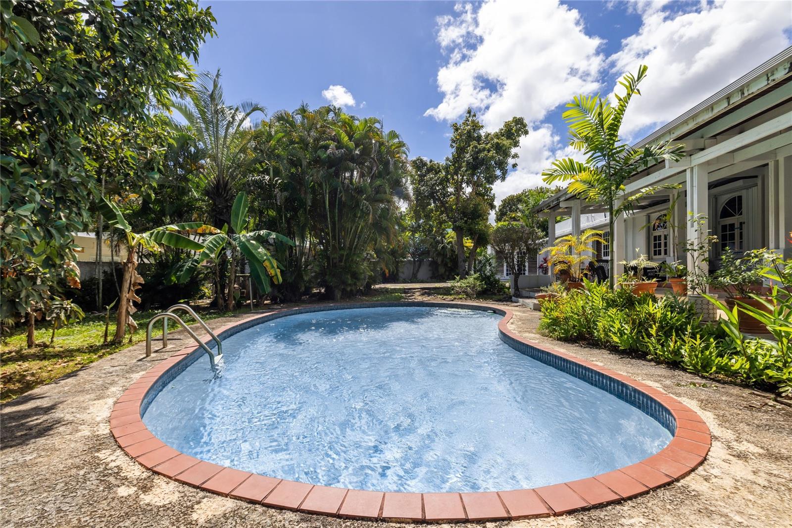 Calle Buchanan 3 VILLA CAPARRA NORTE