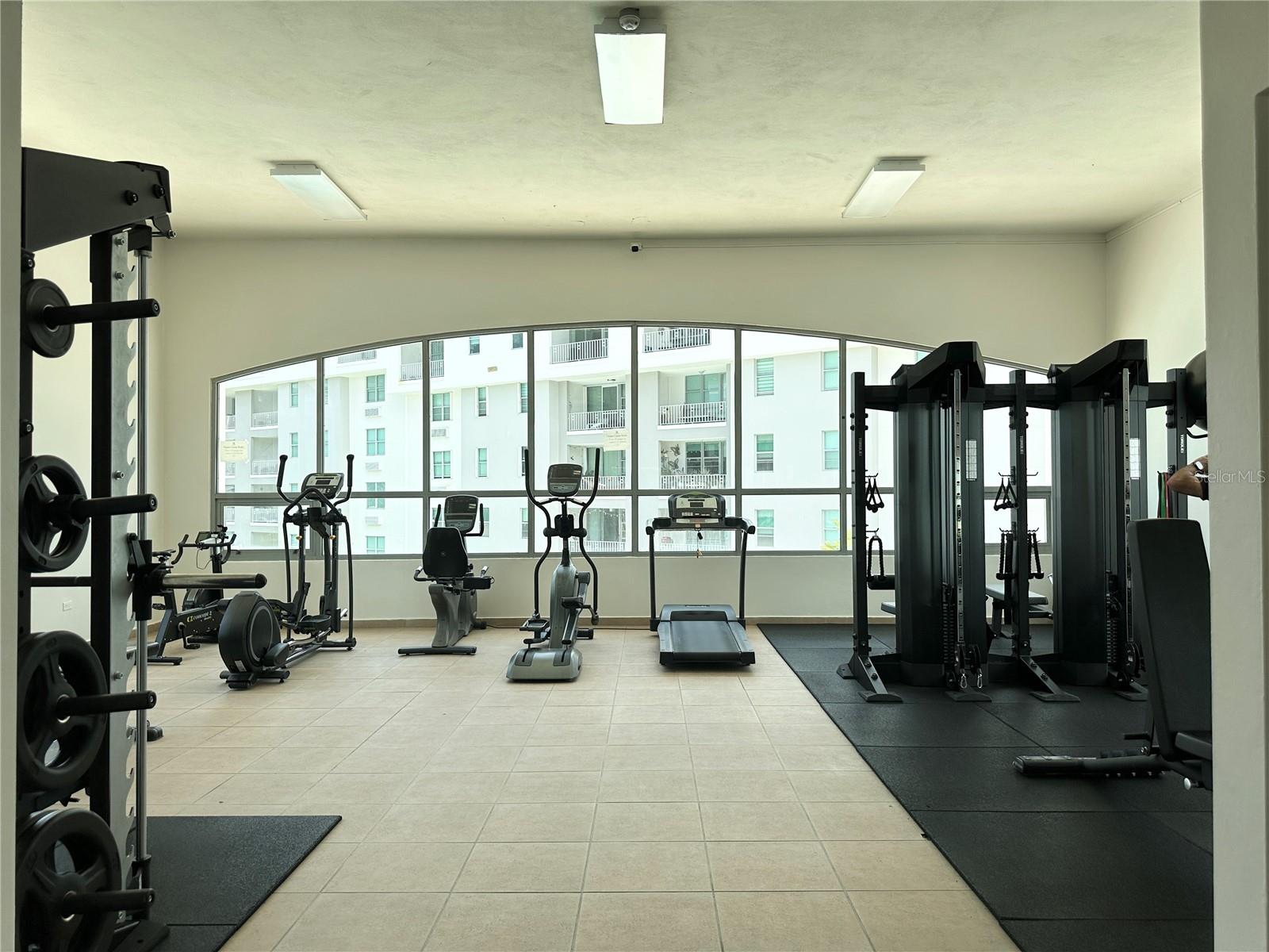 PH4 PALMARES DE MONTEVERDE CUPEY