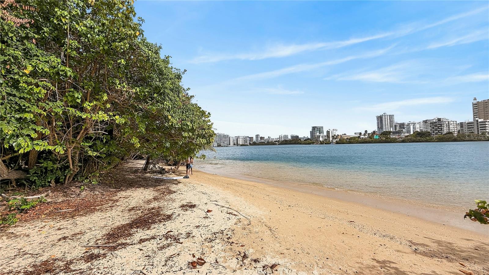 #860 ASHFORD AVENUE #1