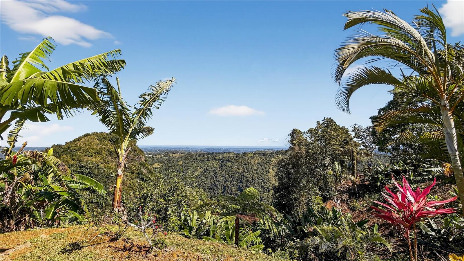 ALTURITAS CACAO PARCEL B